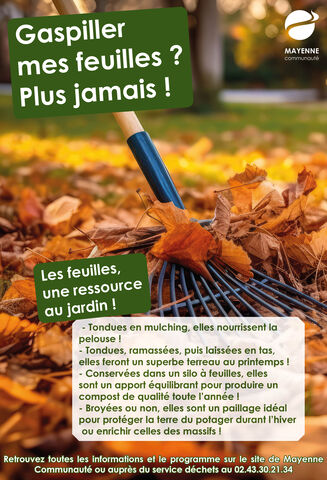 Affiche feuilles